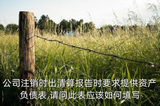 融信集團凈資產(chǎn)負(fù)責(zé)表