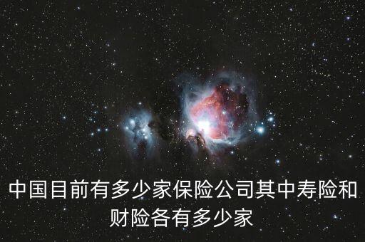 中國目前有多少家保險(xiǎn)公司其中壽險(xiǎn)和財(cái)險(xiǎn)各有多少家