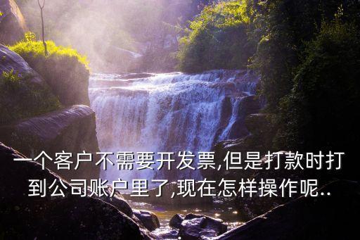 一個(gè)客戶不需要開發(fā)票,但是打款時(shí)打到公司賬戶里了,現(xiàn)在怎樣操作呢...