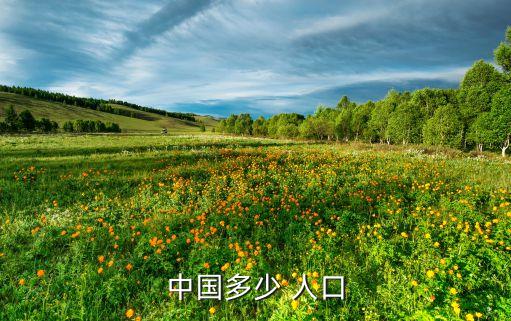 中國(guó)多少 人口