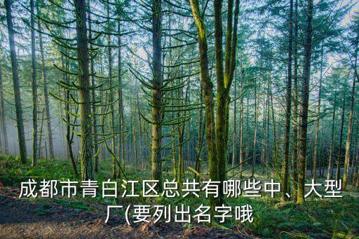  成都市青白江區(qū)總共有哪些中、大型廠(要列出名字哦
