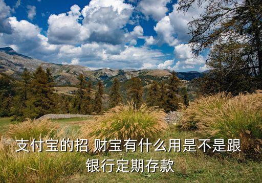 招財(cái)寶和銀行哪個安全