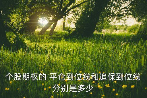 個股期權的 平倉到位線和追保到位線分別是多少