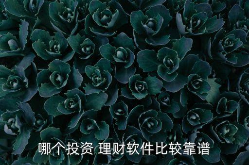 哪個投資 理財(cái)軟件比較靠譜