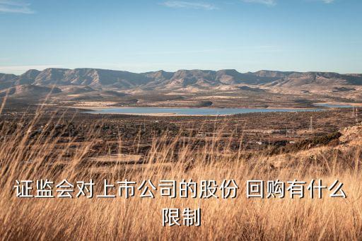 回購股票持股計(jì)劃,股票回購計(jì)劃是利好還是利空
