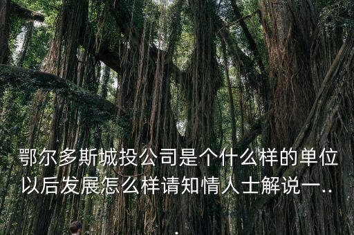  鄂爾多斯城投公司是個(gè)什么樣的單位以后發(fā)展怎么樣請(qǐng)知情人士解說一...