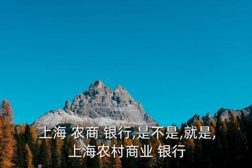 上海農(nóng)商銀行何時上市