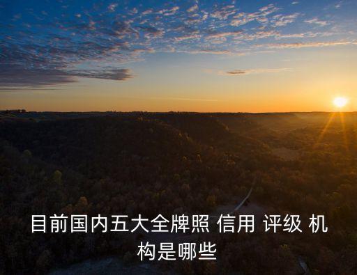目前國(guó)內(nèi)五大全牌照 信用 評(píng)級(jí) 機(jī)構(gòu)是哪些