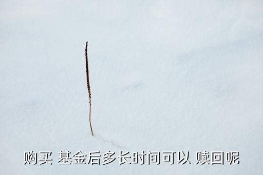 封閉式基金贖回期限,買了封閉式基金強制贖回