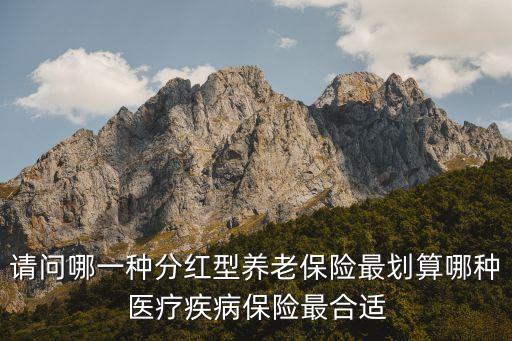 請問哪一種分紅型養(yǎng)老保險(xiǎn)最劃算哪種醫(yī)療疾病保險(xiǎn)最合適