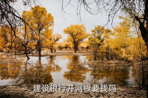 建設(shè)銀行開(kāi)網(wǎng)銀要錢嗎