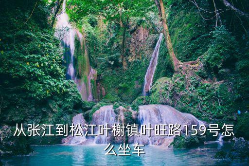 從張江到松江葉榭鎮(zhèn)葉旺路159號怎么坐車