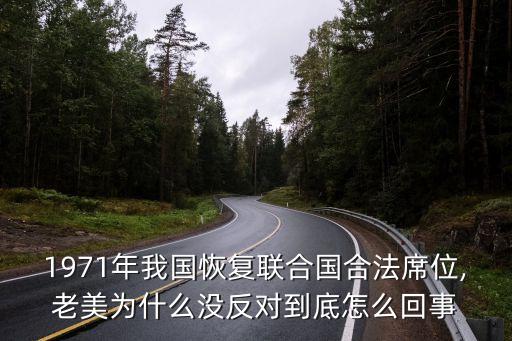 中國否決p3航運(yùn)聯(lián)盟