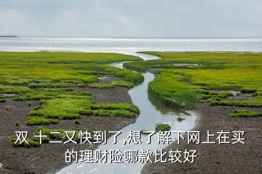雙 十二又快到了,想了解下網(wǎng)上在買的理財(cái)險(xiǎn)哪款比較好