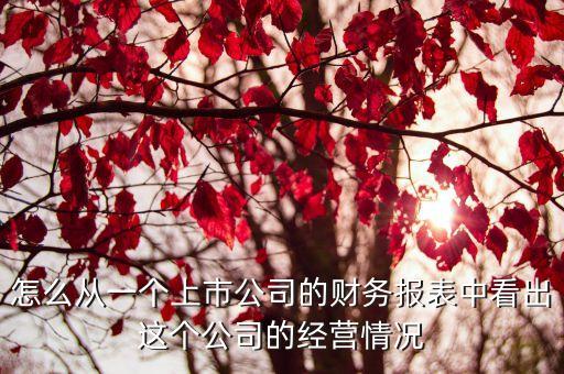 怎么從一個上市公司的財務報表中看出這個公司的經營情況