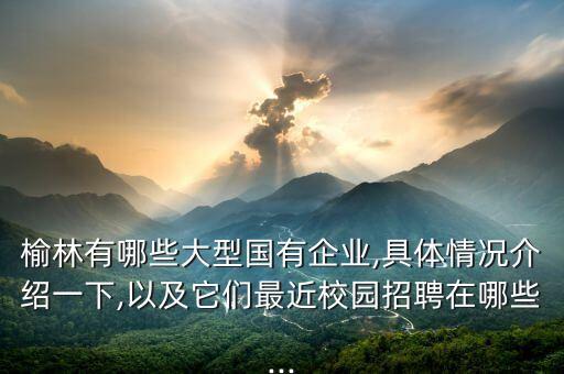 榆林有哪些大型國(guó)有企業(yè),具體情況介紹一下,以及它們最近校園招聘在哪些...