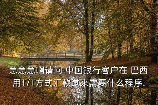 急急急啊請(qǐng)問(wèn) 中國(guó)銀行客戶在 巴西用T/T方式匯款過(guò)來(lái)需要什么程序...