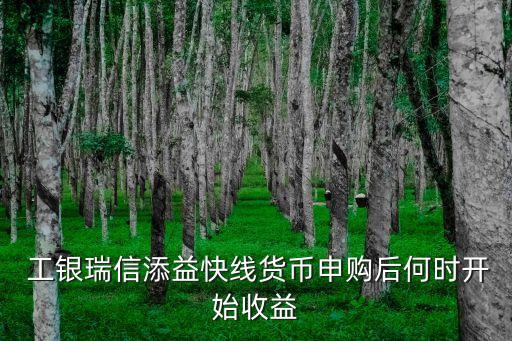  工銀瑞信添益快線貨幣申購后何時開始收益