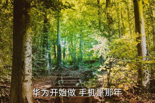 中國(guó)第一款手機(jī),摩托羅拉中國(guó)第一款手機(jī)
