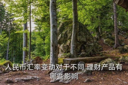 人民幣匯率變動對于不同 理財(cái)產(chǎn)品有哪些影響