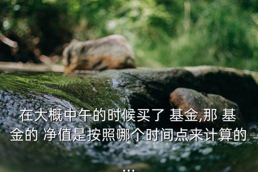 在大概中午的時(shí)候買(mǎi)了 基金,那 基金的 凈值是按照哪個(gè)時(shí)間點(diǎn)來(lái)計(jì)算的...