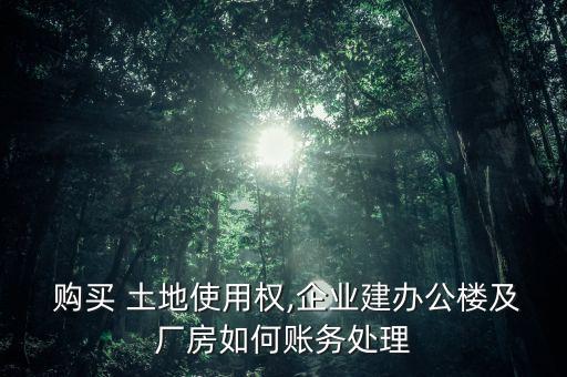  購(gòu)買(mǎi) 土地使用權(quán),企業(yè)建辦公樓及廠房如何賬務(wù)處理