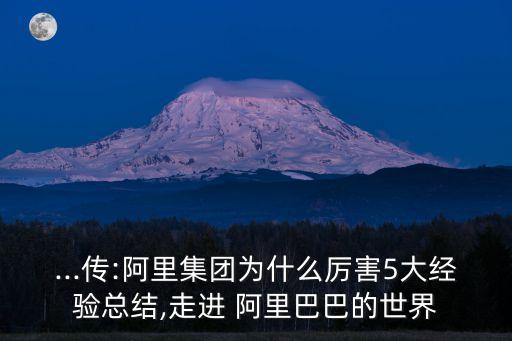 ...傳:阿里集團(tuán)為什么厲害5大經(jīng)驗總結(jié),走進(jìn) 阿里巴巴的世界