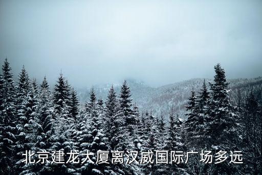  北京建龍大廈離漢威國際廣場多遠(yuǎn)