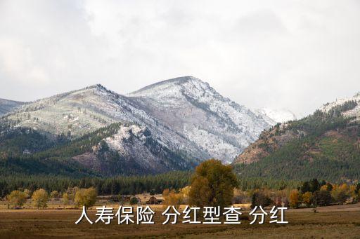  人壽保險(xiǎn) 分紅型查 分紅