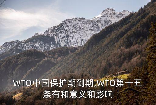 WTO中國(guó)保護(hù)期到期,WTO第十五條有和意義和影響
