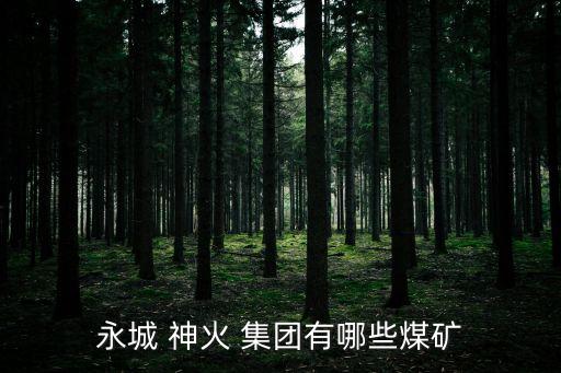 神火集團(tuán)倒閉,商丘神火集團(tuán)簡介