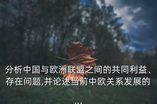 分析中國與歐洲聯(lián)盟之間的共同利益、存在問題,并論述當前中歐關系發(fā)展的...