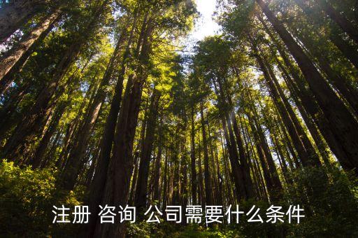 注冊(cè) 咨詢(xún) 公司需要什么條件
