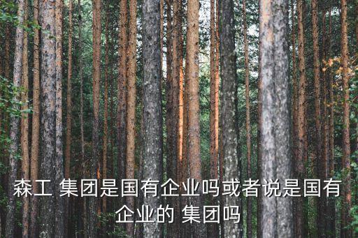 吉林森林工業(yè)集團