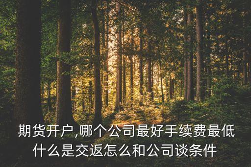 期貨開戶,哪個公司最好手續(xù)費(fèi)最低什么是交返怎么和公司談條件