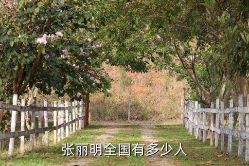 張麗明全國(guó)有多少人