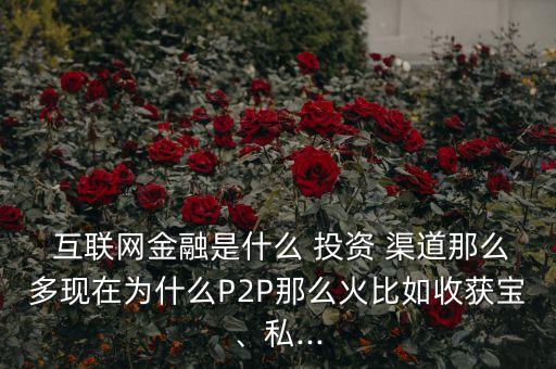  互聯(lián)網(wǎng)金融是什么 投資 渠道那么多現(xiàn)在為什么P2P那么火比如收獲寶、私...