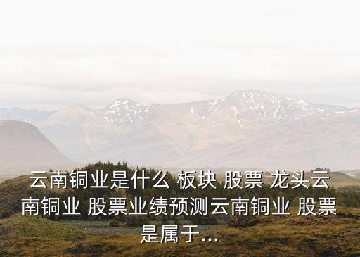 云南銅業(yè)是什么 板塊 股票 龍頭云南銅業(yè) 股票業(yè)績(jī)預(yù)測(cè)云南銅業(yè) 股票是屬于...