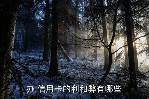 擔保公司辦大額信用卡好處