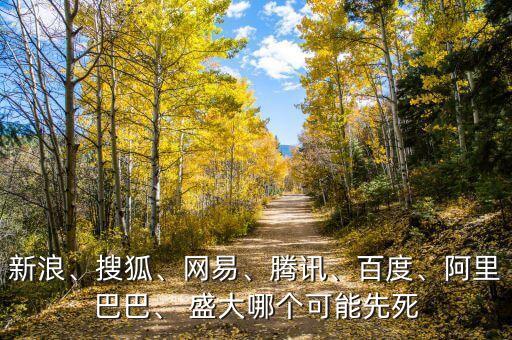 新浪、搜狐、網(wǎng)易、騰訊、百度、阿里巴巴、 盛大哪個(gè)可能先死
