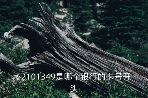 62101349是哪個(gè)銀行的卡號(hào)開(kāi)頭