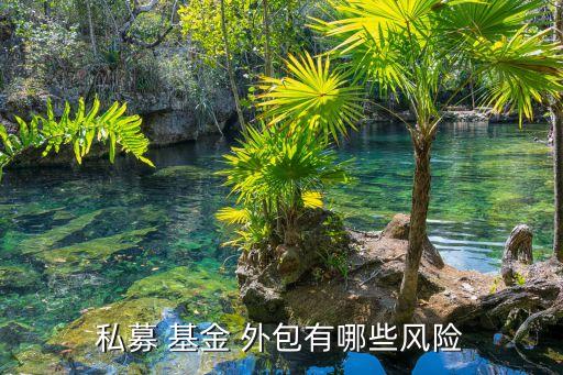 基金外包業(yè)務(wù)