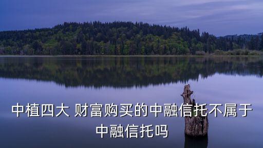 中植四大 財(cái)富購買的中融信托不屬于中融信托嗎