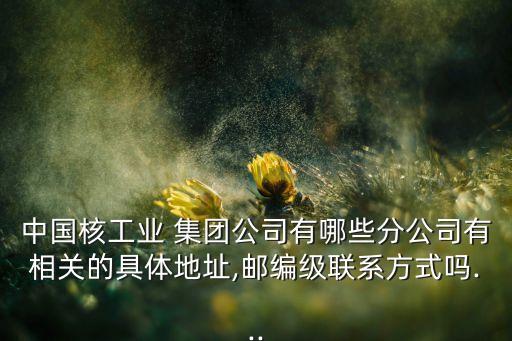 中國(guó)核工業(yè) 集團(tuán)公司有哪些分公司有相關(guān)的具體地址,郵編級(jí)聯(lián)系方式嗎...