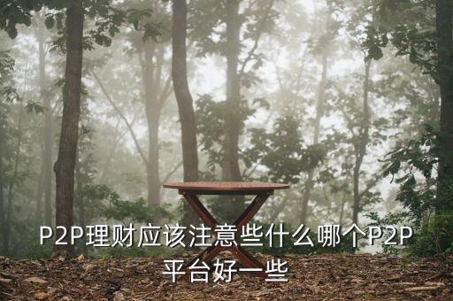 P2P理財(cái)應(yīng)該注意些什么哪個(gè)P2P平臺(tái)好一些