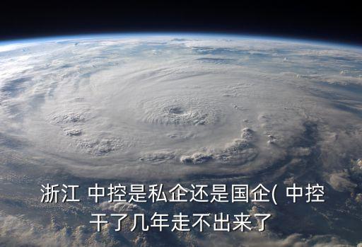 浙江中控太陽能有限公司,浙江浙大中控信息技術有限公司
