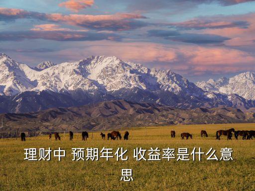  理財(cái)中 預(yù)期年化 收益率是什么意思