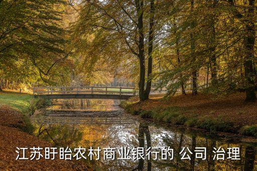 江蘇盱眙農村商業(yè)銀行的 公司 治理