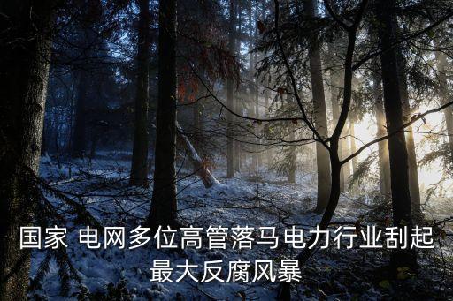國家 電網(wǎng)多位高管落馬電力行業(yè)刮起最大反腐風暴