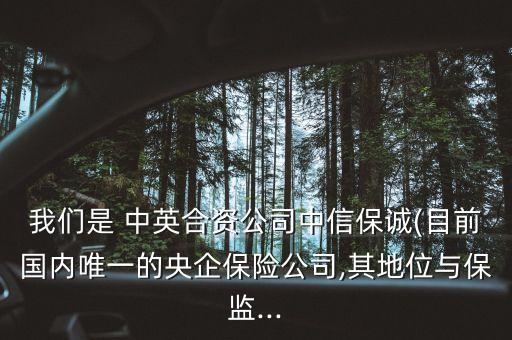 我們是 中英合資公司中信保誠(chéng)(目前國(guó)內(nèi)唯一的央企保險(xiǎn)公司,其地位與保監(jiān)...